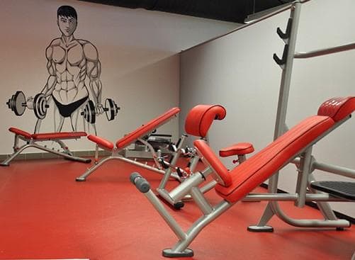 PULZLINE FITNES CENTER, CELJE