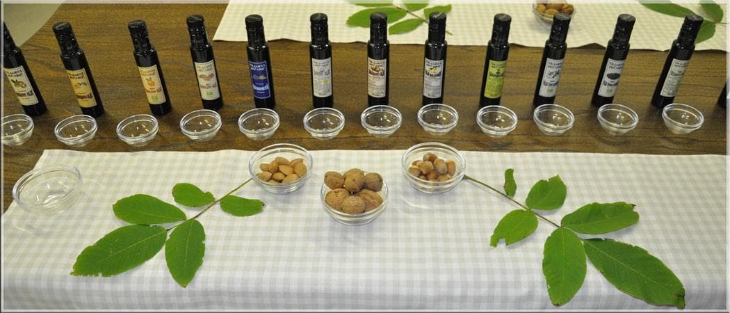 DEGUSTACIJA SLOVENSKIH OLJ