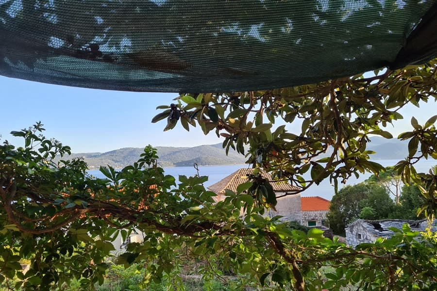 Apartma Pelješac za 2 osebi