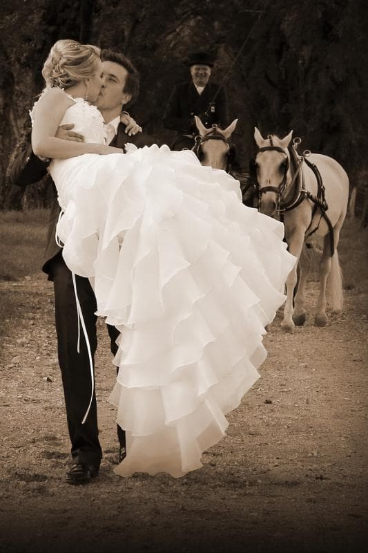 FOTO ART, SEŽANA