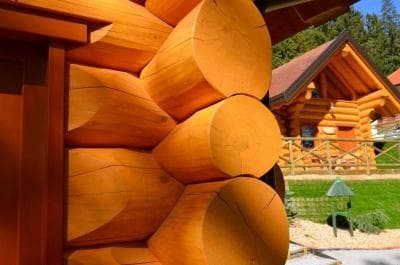 VILA, APARTMAJI IN WELNESS, ZELENA VAS, RUŠEVEC, POHORJE