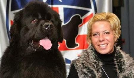 TOP D.O.G., SALON ZA NEGO PSOV, TINA KURUC, LESCE cover
