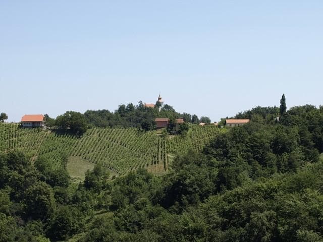 OBČINA ZAVRČ