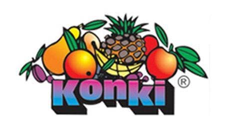 KONKI NOVA, SLOVENSKE KONJICE cover