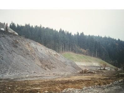 OZELENITEV BREŽIN | UTRJEVANJE BREŽIN | ZAŠČITA BREŽIN Z MREŽO