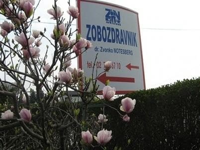 ZOBOZDRAVNIK NOTESDENT PTUJ