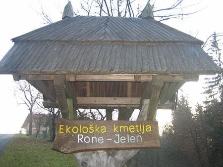 EKOLOŠKA KMETIJA RONE - JELEN, PODGORJE PRI SLOVENJ GRADCU cover