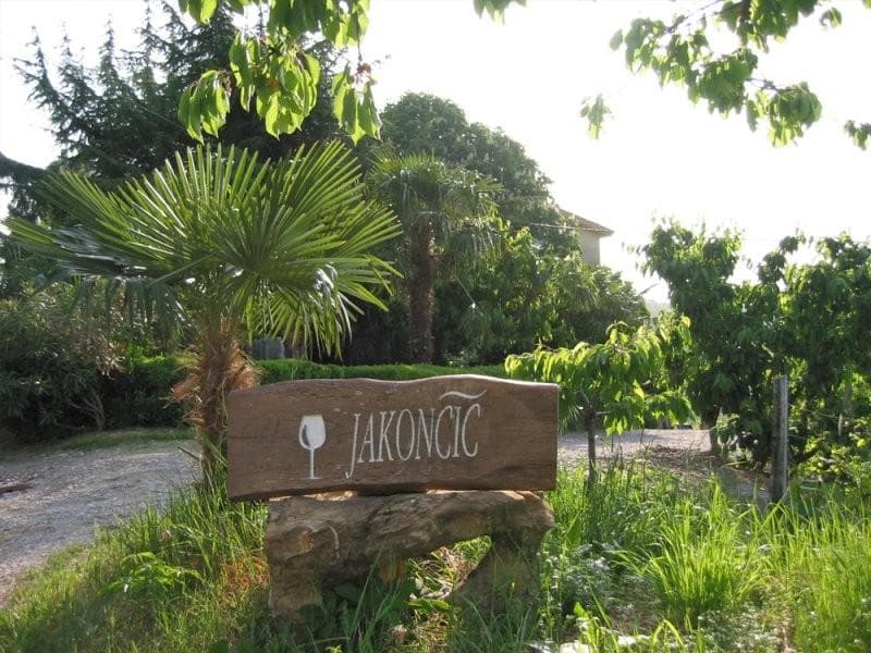 DRUŽINSKA KMETIJA JAKONČIČ, KOZANA