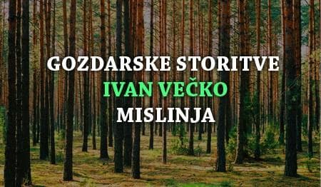 GOZDARSKE STORITVE SLOVENJ GRADEC cover