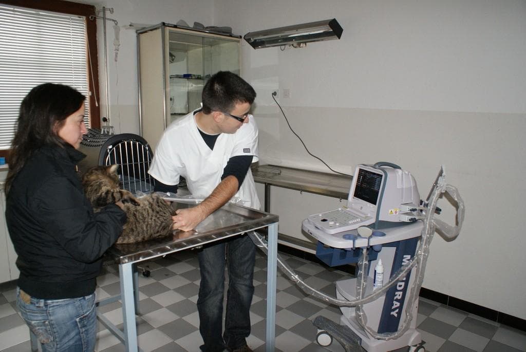 VETERINARSKA AMBULANTA HRPELJE