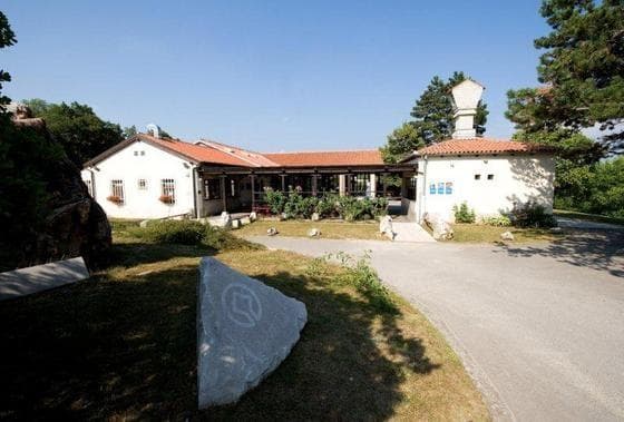MAHNIČ - PIVOVARNA, GOSTILNA IN APARTMAJI, KOZINA