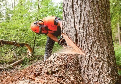 IZKOPI Z BAGROM TRBOVLJE