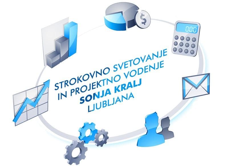 STROKOVNO SVETOVANJE IN PROJEKTNO VODENJE, SONJA KRALJ, LJUBLJANA cover