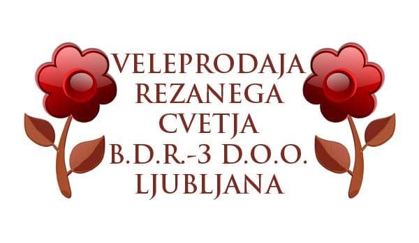 B.D.R.-3 D.O.O., Storitve za rastlinsko pridelavo