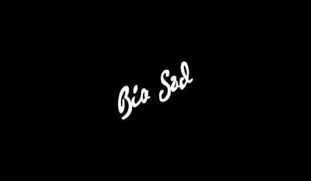 BIO SAD, JAKOBSKI DOL cover