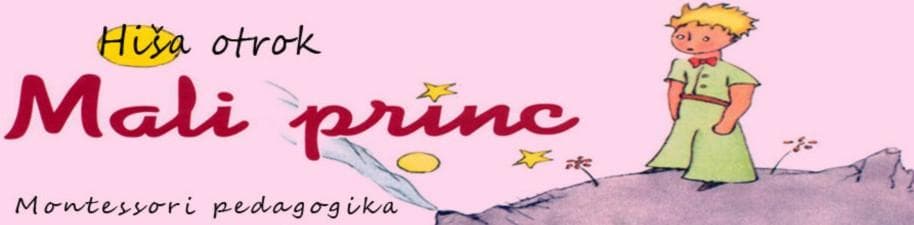 HIŠA OTROK MALI PRINC, DOMŽALE cover