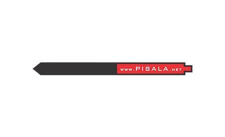 PISALA.NET, TRZIN cover