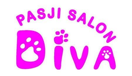 PASJI SALON DIVA, LANA PREMK S.P., LJUBLJANA cover