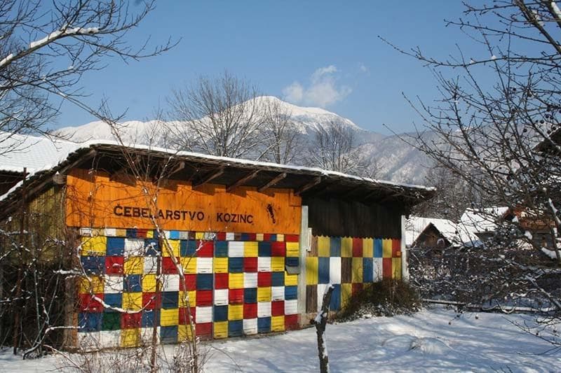SVEŽI MATIČNI MLEČEK, CVETNI PRAH, PROPOLIS, ČEBELJI VOSEK, PRODAJA MEDU LESCE, ČEBELARSTVO KOZINC