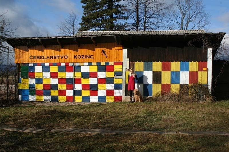 SVEŽI MATIČNI MLEČEK, CVETNI PRAH, PROPOLIS, ČEBELJI VOSEK, PRODAJA MEDU LESCE, ČEBELARSTVO KOZINC