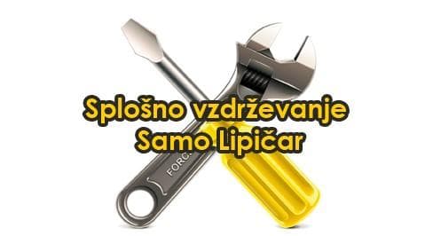 VZDRŽEVANJE OBJEKTOV IN OKOLICE, VIŠINSKA DELA, VSA HIŠNA POPRAVILA, UREJANJE OKOLICE, SAMO LIPIČAR cover