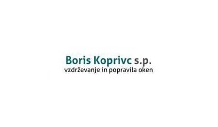 OBNOVA OKEN BORIS KOPRIVC, ŠKOFLJICA cover