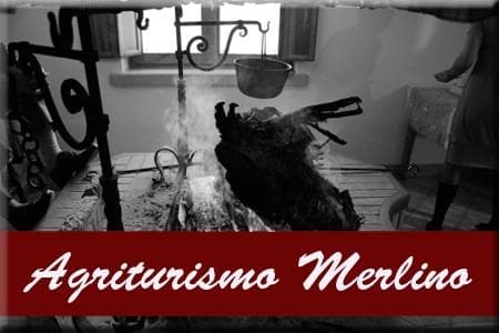 TURISTIČNA KMETIJA MERLINO, NIMIS cover