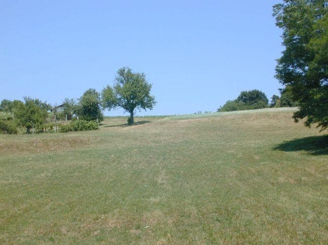 ZRNJE IN SEMENA, DOMAČE MESO, OLJA, KIS, NARAVNI SOKOVI, VLOŽENA ZELENJAVA, EKOLOŠKA KMETIJA RENGEO,