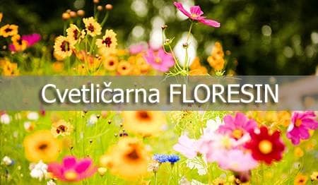 CVETLIČARNA FLORESIN, TANJA HOLC, PTUJ cover