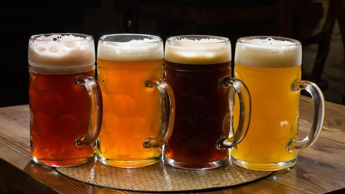 BAR PLUS CELJE | IDA POCAJT