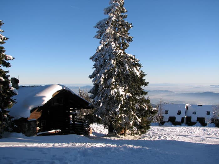APARTMENTS SKI RESORT ROGLA