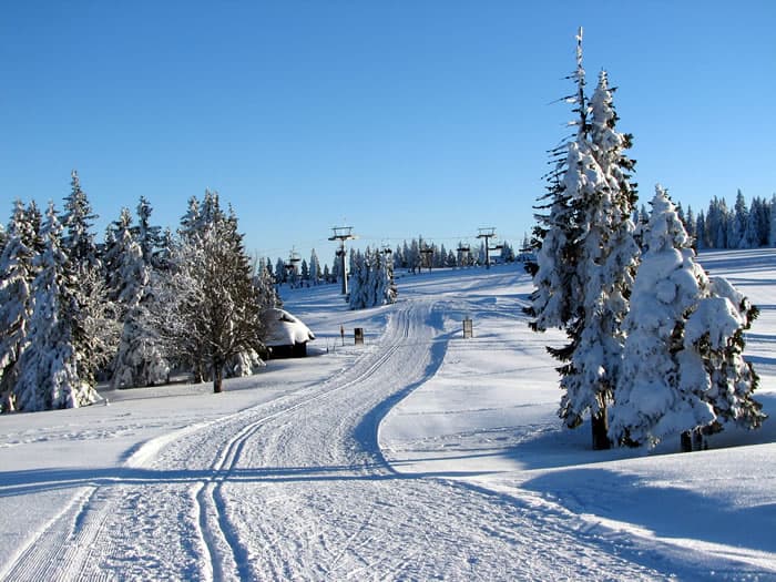APARTMENTS SKI RESORT ROGLA
