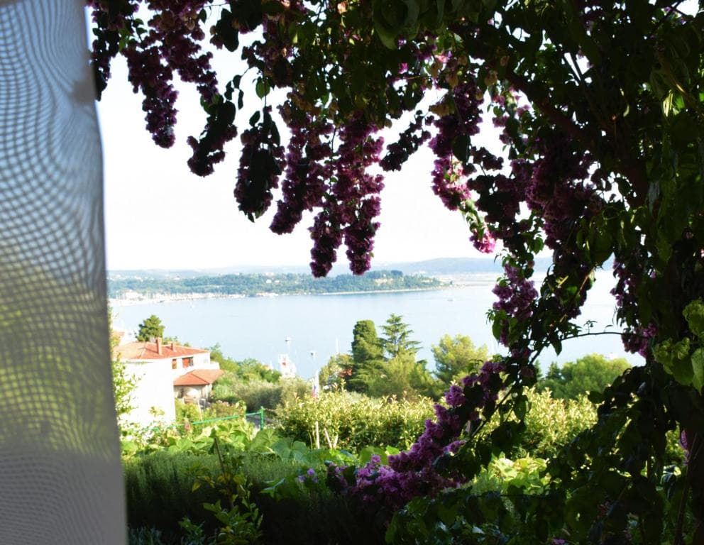 APARTMENTS PORTOROZ FINK