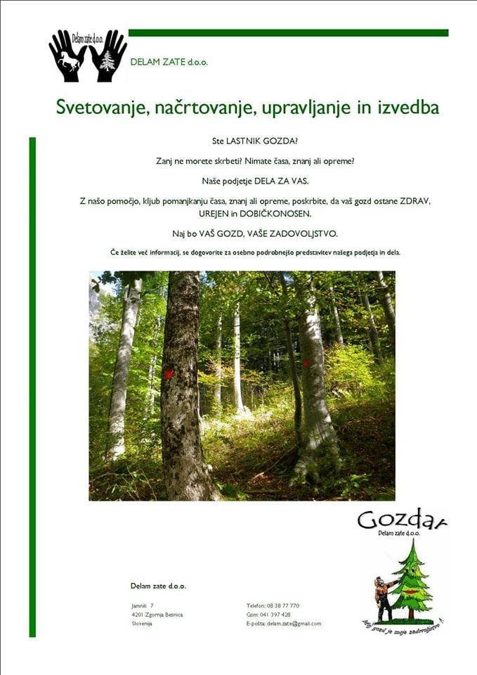 LESNA BIOMASA, SEČNJA IN SPRAVILO LESA, PLANIRANJE GORENJSKA