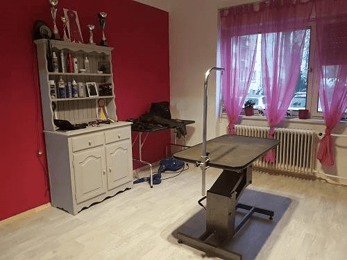 PASJI SALON ANGARA,  NEGA IN STRIŽENJE PSOV