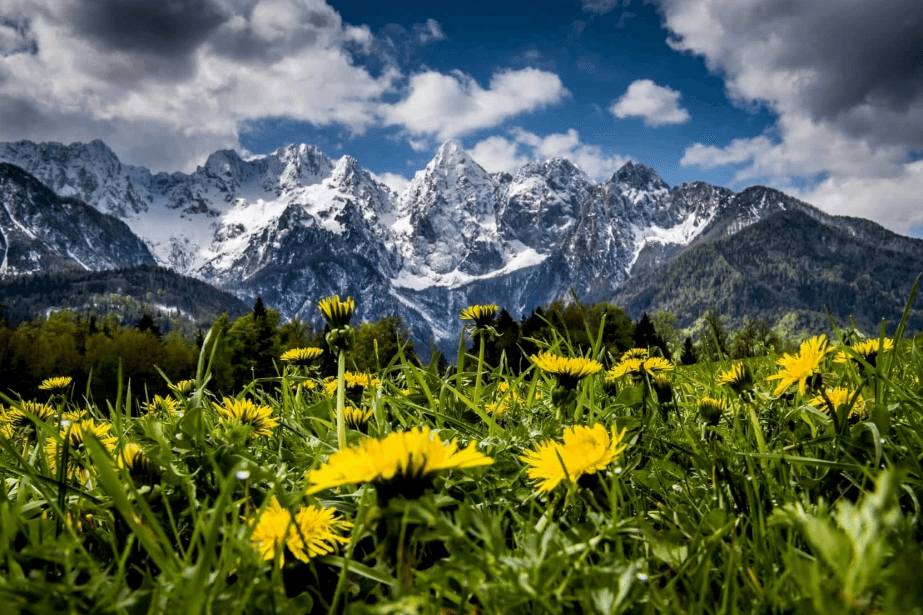 APARTMAJI KOŠIR, KRANJSKA GORA