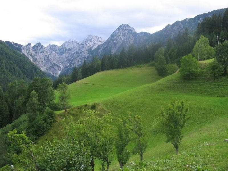 APARTMA LOGARSKA DOLINA cover