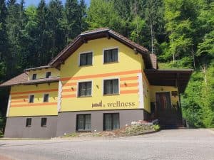 APARTMAJI WELLNESS PRAZNOVANJA POGOSTITVE NA KOROŠKEM