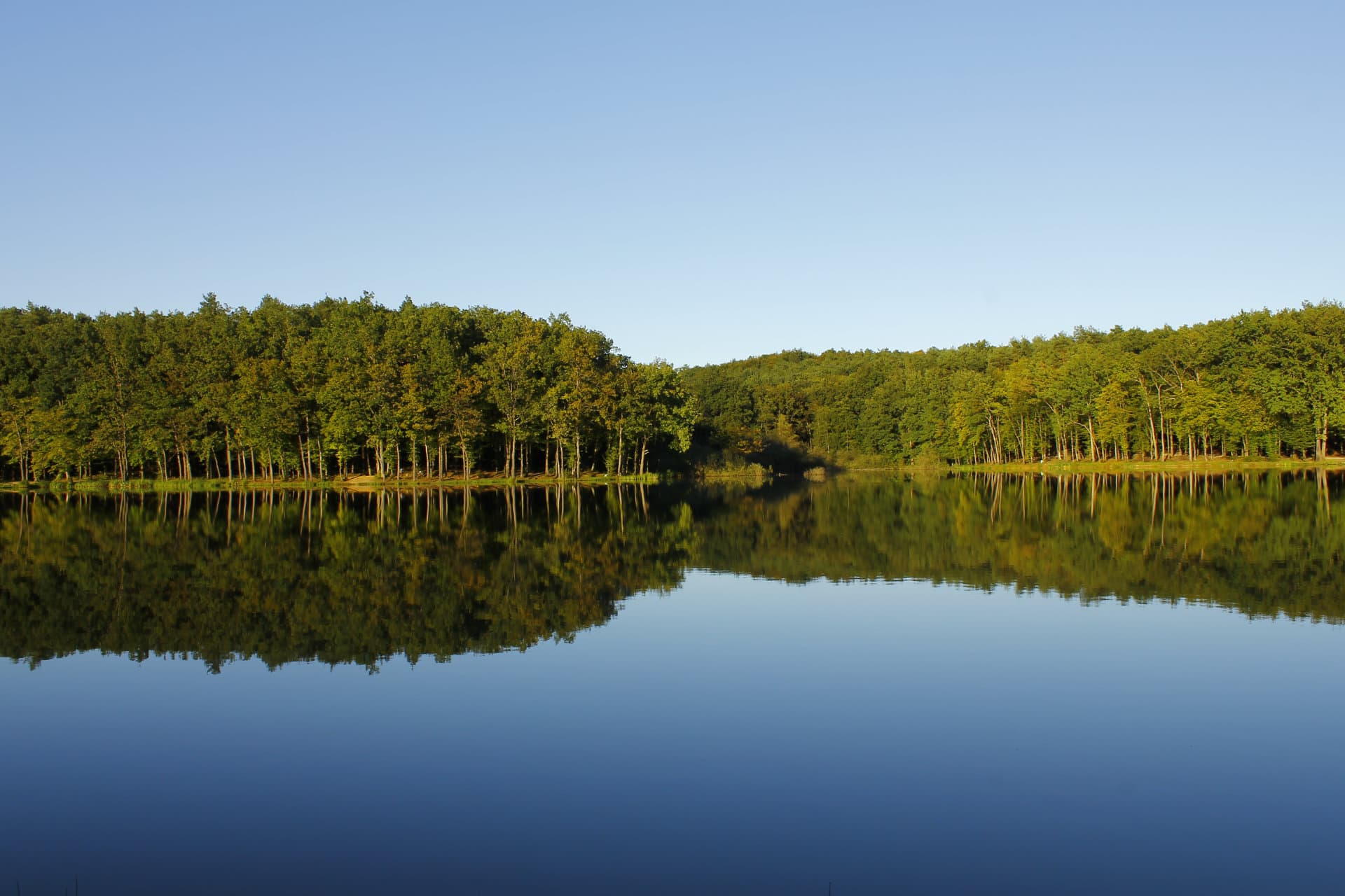 Bukovnisko-jezero