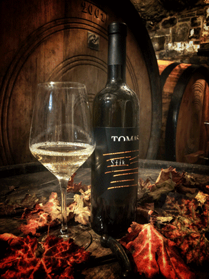 DEGUSTACIJA VIN V VINSKI KLETI VIPAVSKA DOLINA cover
