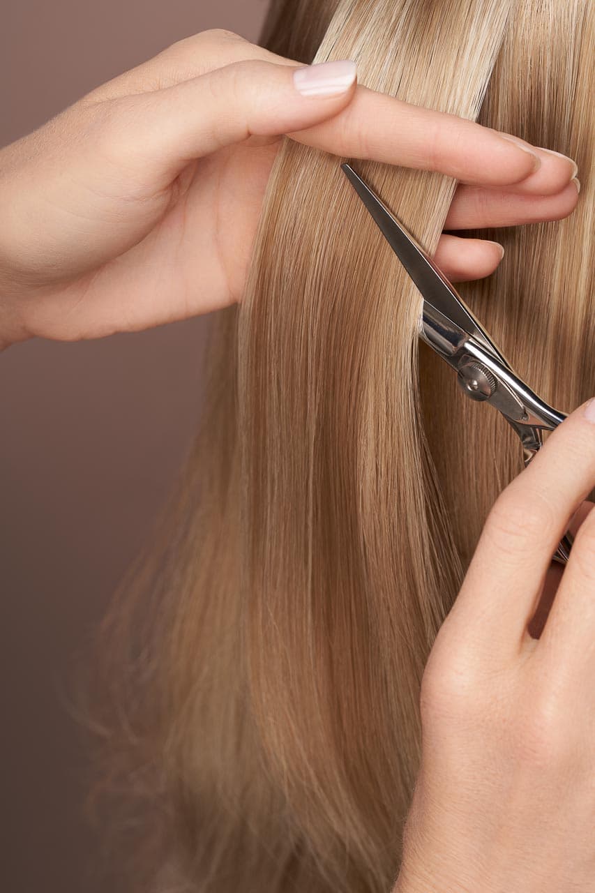 FRIZERSKI SALON LESCE SALON ALENKA
