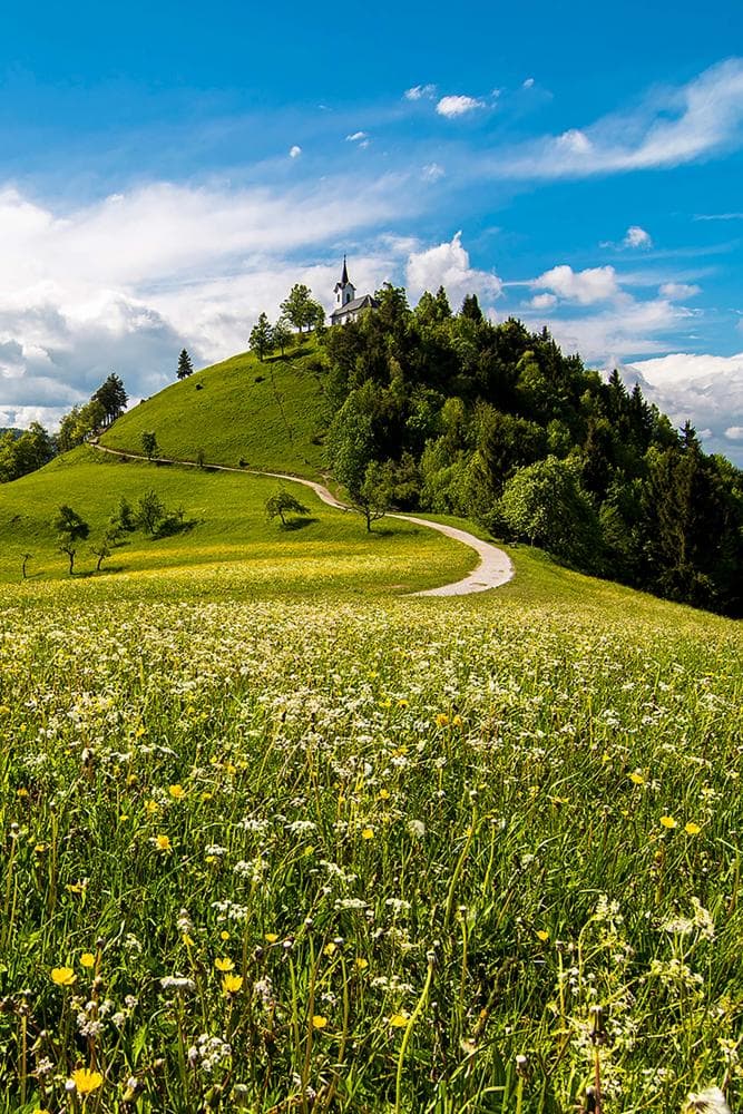 GOSTIŠČE PR JUR, MEDVODE
