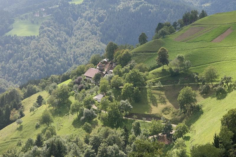 POHOD NA VRH GRMADE IN OBISK PRI GOSTILNA PRI MEHAČKU