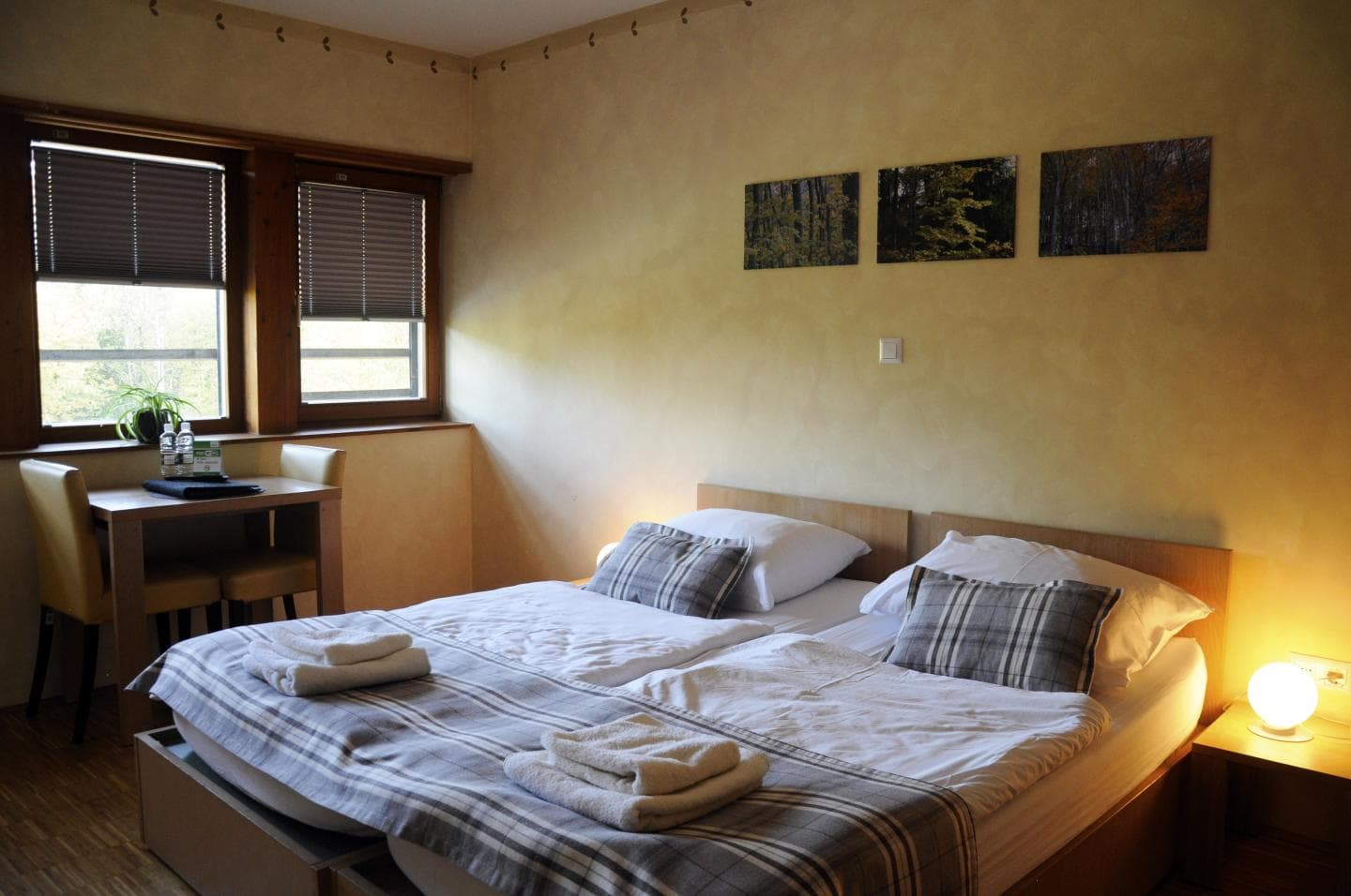 HOTEL V CELJU CELJSKA KOČA
