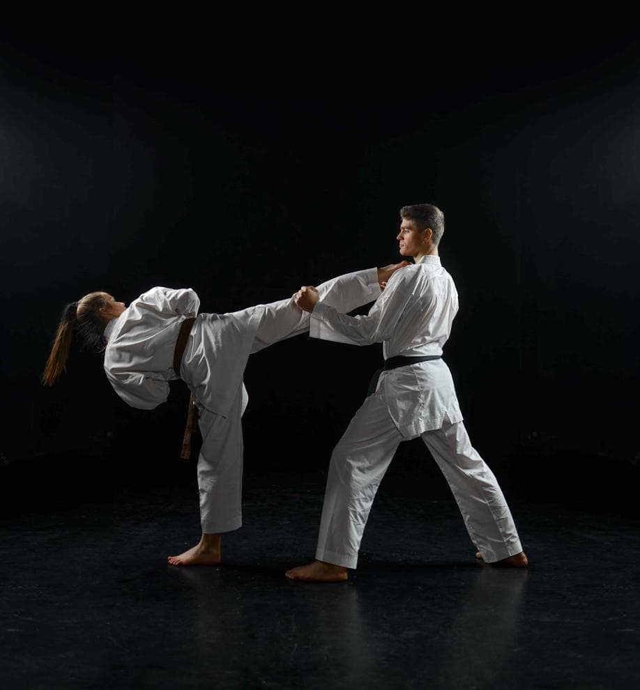 KARATE KLUB LOGATEC