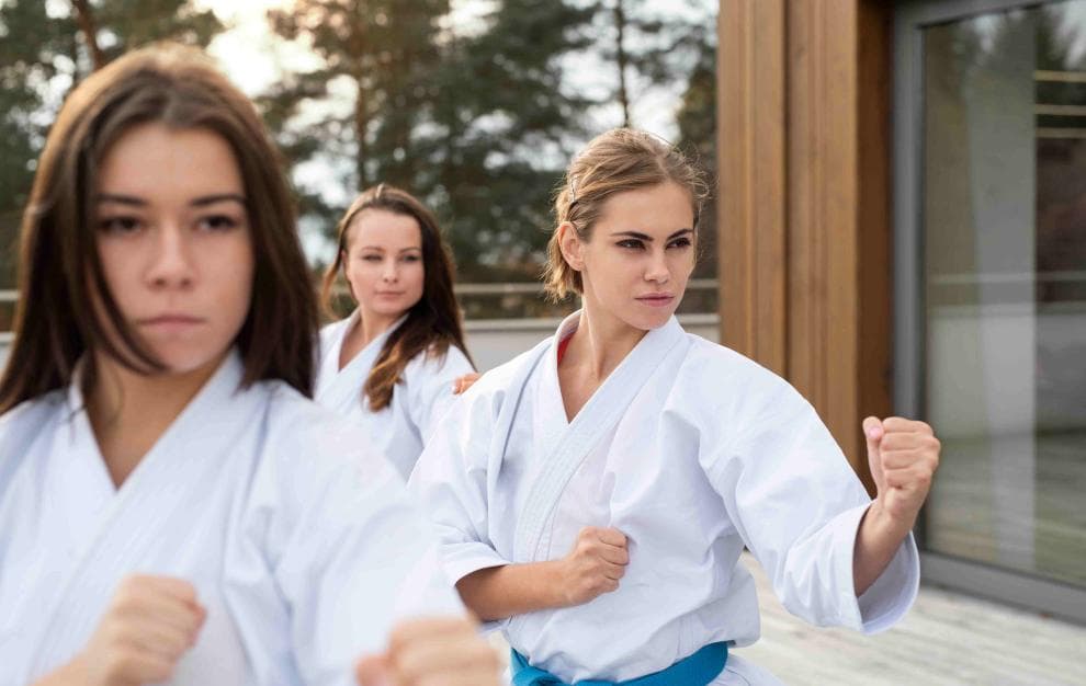 KARATE KLUB LOGATEC cover
