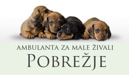 AMBULANTA ZA MALE ŽIVALI POBREŽJE, MARIBOR logo