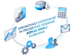 STROKOVNO SVETOVANJE IN PROJEKTNO VODENJE, SONJA KRALJ, LJUBLJANA logo