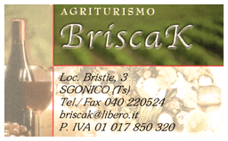 TURISTIČNA KMETIJA BRISCAK, ZGONIK logo