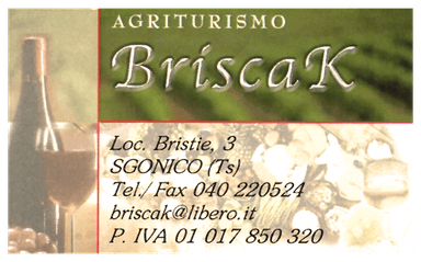 TURISTIČNA KMETIJA BRISCAK, ZGONIK